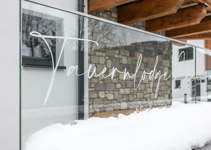 Tauernlodge Eben E1 Chalet *